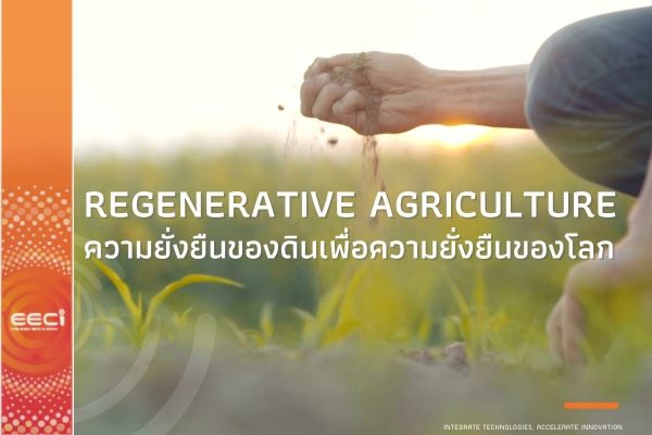 Regenerative Agriculture ความยั่งยืนของดินเพื่อความยั่งยืนของโลก