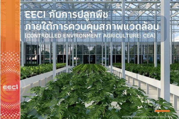 EECi กับการปลูกพืชภายใต้การควบคุมสภาพแวดล้อม (Controlled Environment Agriculture: CEA)