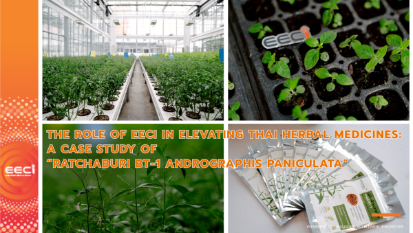 The Role of EECi in Elevating Thai Herbal Medicines: A Case Study of “Ratchaburi BT-1 Andrographis paniculata”